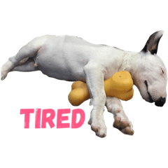 [LINEスタンプ] dog's emoji