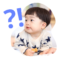 [LINEスタンプ] harutophoto