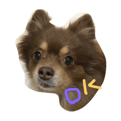 [LINEスタンプ] チワポメ＆狆