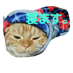 [LINEスタンプ] そらとりく～猫スタンプ～