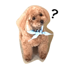 [LINEスタンプ] mintooo