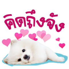 [LINEスタンプ] Power - Cute dog