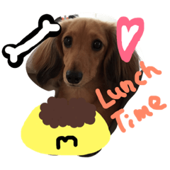[LINEスタンプ] ミニチュアダックスフント！！！