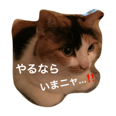 [LINEスタンプ] まーこの徒然なる姫ライフ4