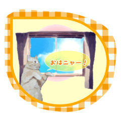 [LINEスタンプ] Cute and fashionable cats stamp
