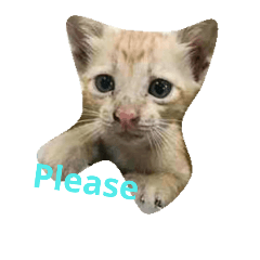 [LINEスタンプ] Garfew