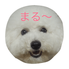 [LINEスタンプ] ポンdeビション お返事編