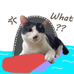 [LINEスタンプ] meaw 's milk