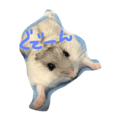 [LINEスタンプ] hamster sugar