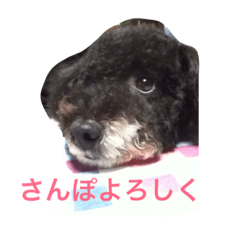 [LINEスタンプ] オレオくん2