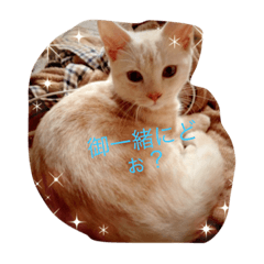 [LINEスタンプ] らむりんスタンプ