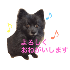 [LINEスタンプ] kuma_nosuke！