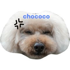 [LINEスタンプ] チョココファミリー1