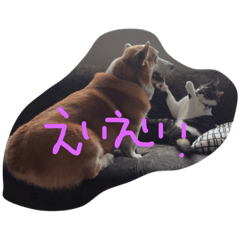 [LINEスタンプ] Hina＆Nyanchu