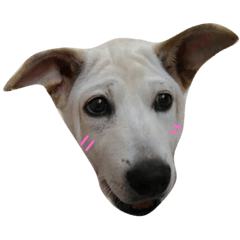 [LINEスタンプ] i'm George