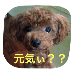 [LINEスタンプ] モカ＆コナ お気楽スタンプ