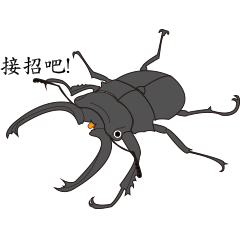[LINEスタンプ] taiwan beetles