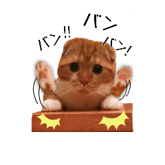 [LINEスタンプ] スコティッシュはるまる第4弾