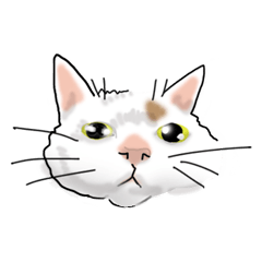 [LINEスタンプ] 三毛猫花とモフ猫太郎