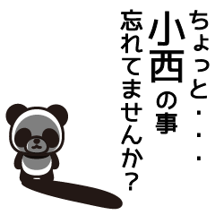 [LINEスタンプ] 小西以外帰って良しの画像（メイン）