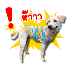 [LINEスタンプ] Mheeyukloveu