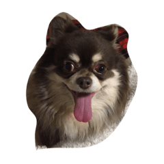[LINEスタンプ] ロインくん