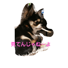 [LINEスタンプ] mAn osechi