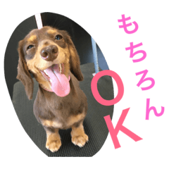 [LINEスタンプ] みるきなスタンプ