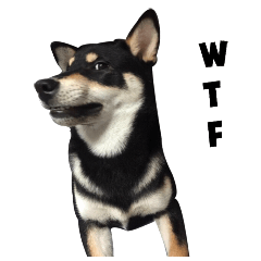 [LINEスタンプ] ShibaInu Bagel intl.