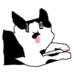[LINEスタンプ] ハチワレ猫スタンプ