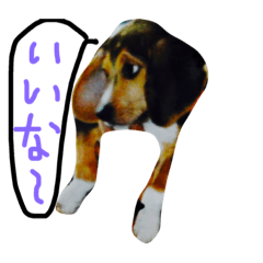 [LINEスタンプ] 愛犬ヒロ