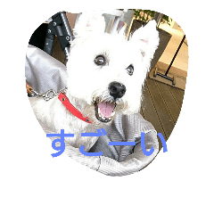 [LINEスタンプ] wanwanparadise