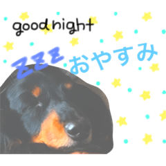 [LINEスタンプ] ぽ〜にゃんの心の声
