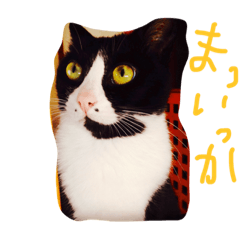 [LINEスタンプ] gattogattogatto
