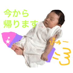 [LINEスタンプ] いも虫娘の日常