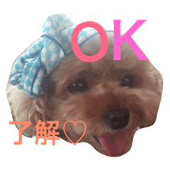 [LINEスタンプ] もこみファミリー