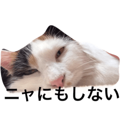[LINEスタンプ] がんばりません