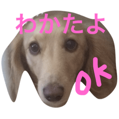 [LINEスタンプ] めんまのめんちゃん