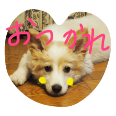 [LINEスタンプ] ぽん太のゆるーい日常