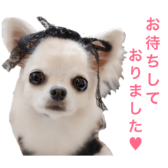 [LINEスタンプ] 夏の陣♡