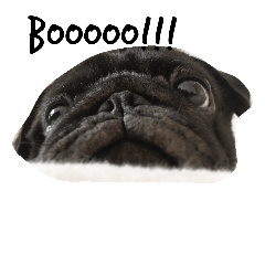 [LINEスタンプ] i'm pes.everyday is boring. haha