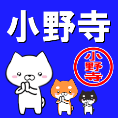 [LINEスタンプ] 超★小野寺(おのでら・おのてら・このでら)の画像（メイン）