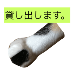 [LINEスタンプ] 藤城1