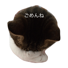 [LINEスタンプ] 気まぐれドンちゃん