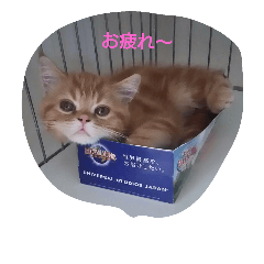 [LINEスタンプ] donbe