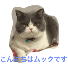 [LINEスタンプ] 僕はムックです