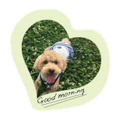 [LINEスタンプ] 犬だけど、くま。