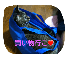 [LINEスタンプ] kurosawasan