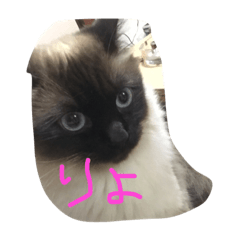 [LINEスタンプ] アクア0501
