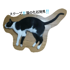 [LINEスタンプ] まだしゃん日記